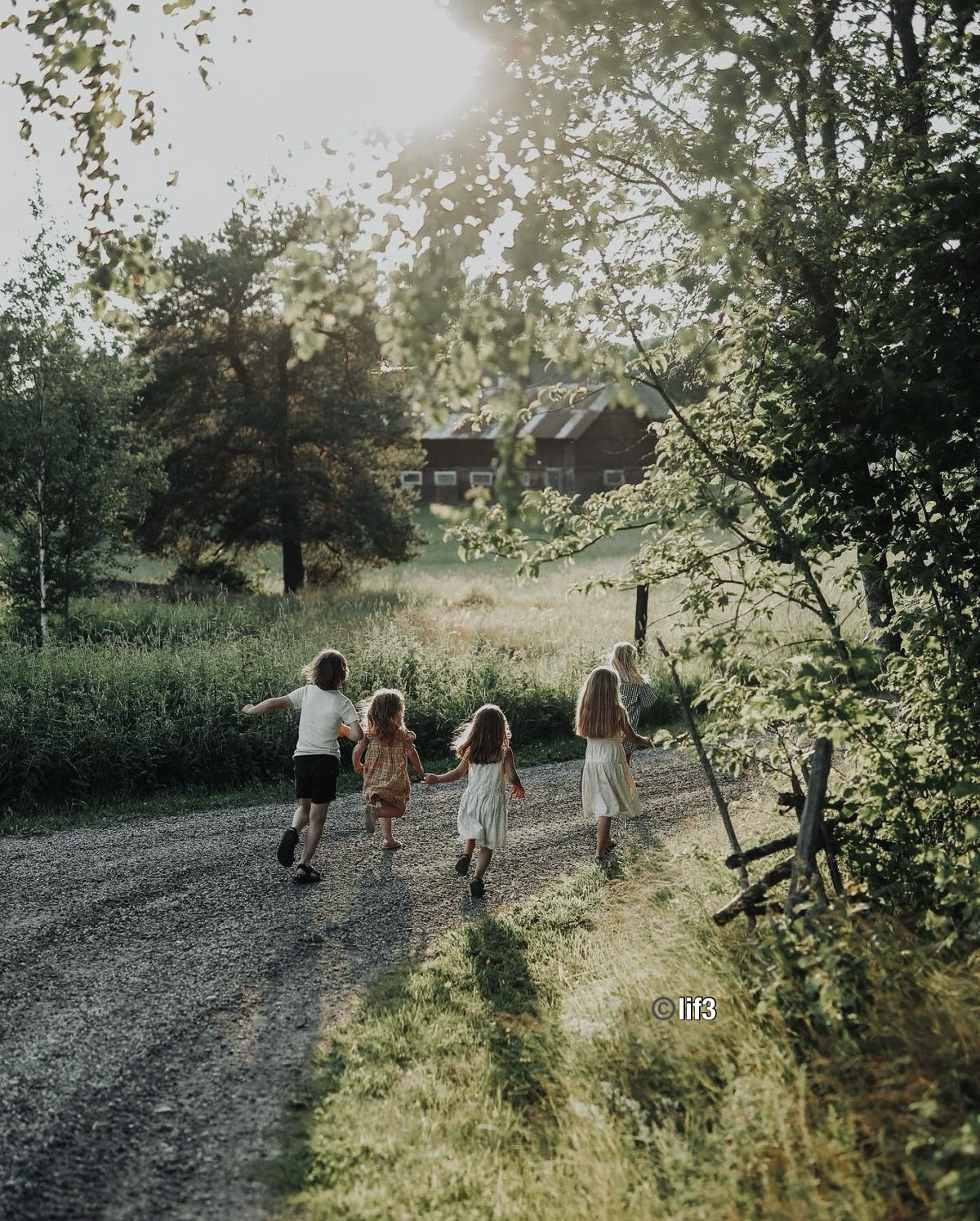 Fericirea înseamnă să te bucuri de tot ce este simplu!